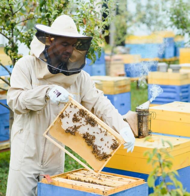 apiculture produits